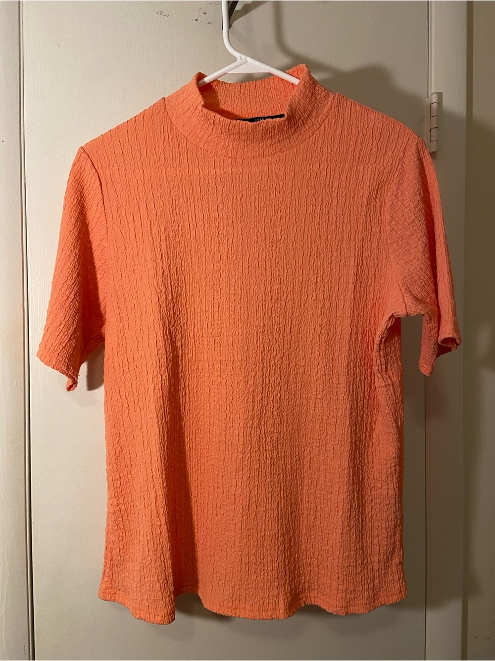 Ashley Blue Mock Neck Textured Short Sleeve Top in Coral